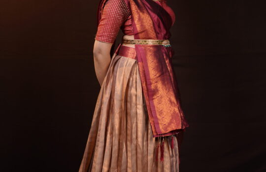 navratri saree